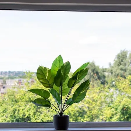 Stylish In 10 Mins From Centre Holiday home *